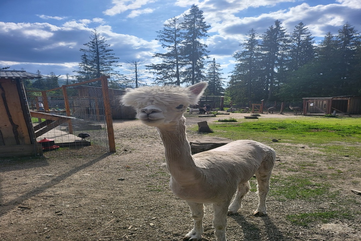Tatrzańskie Mini Zoo